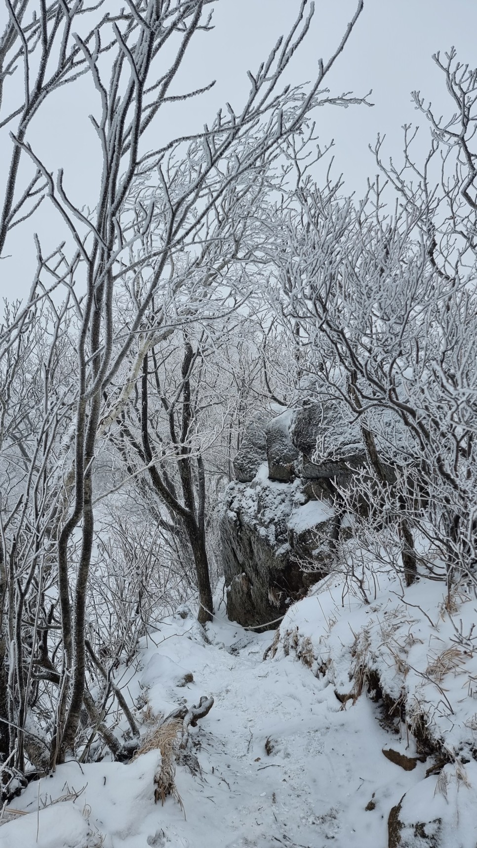 소백산 등산, 화이트 크리스마스 이브 눈꽃 산행 (어의곡~율전 원점회귀)