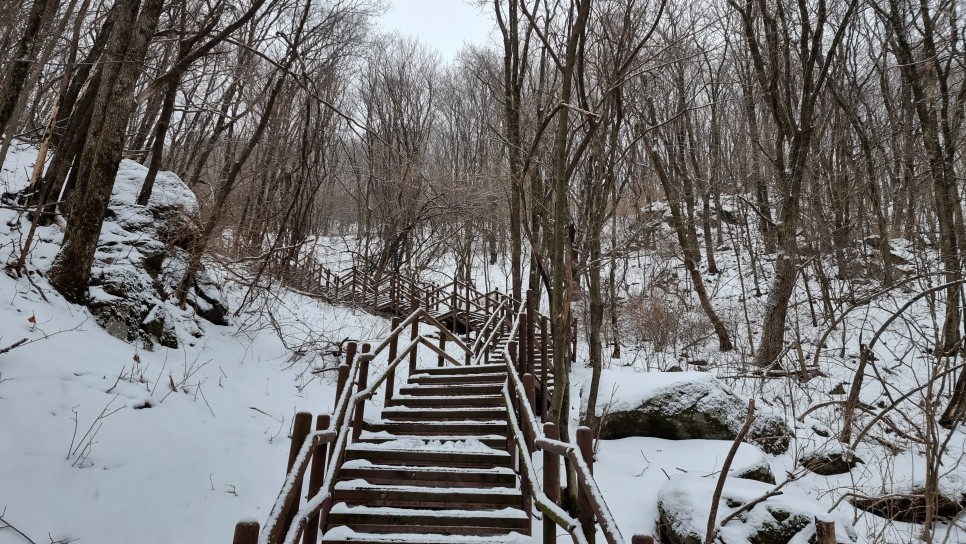 소백산 등산, 화이트 크리스마스 이브 눈꽃 산행 (어의곡~율전 원점회귀)