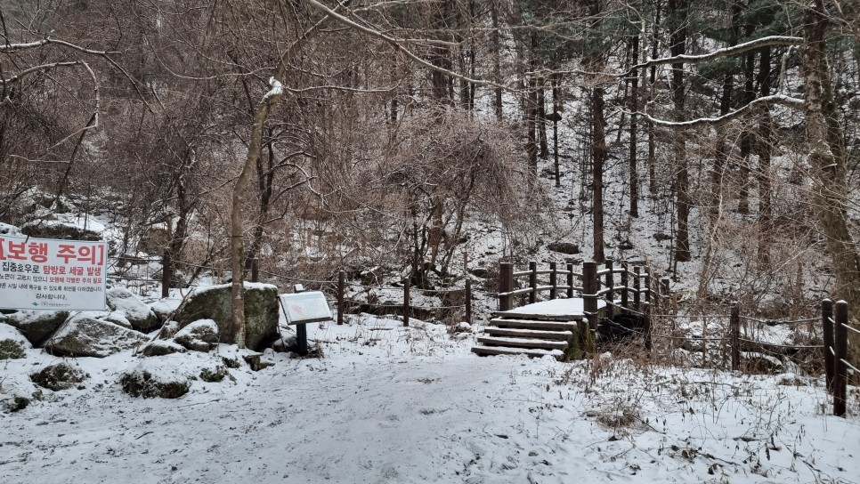 소백산 등산, 화이트 크리스마스 이브 눈꽃 산행 (어의곡~율전 원점회귀)