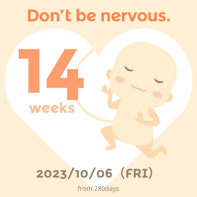 임산부 초기~중기 10주 11주 12주 13주 14주 15주 주수별 증상 및 배크기 체중 기록
