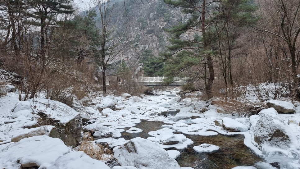 소백산 등산, 화이트 크리스마스 이브 눈꽃 산행 (어의곡~율전 원점회귀)