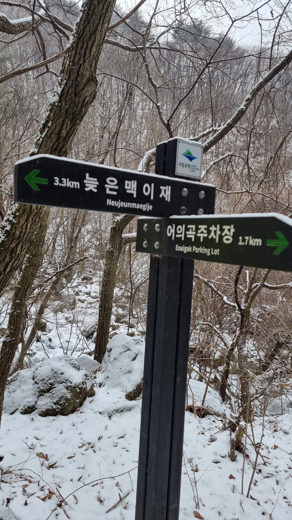 소백산 등산, 화이트 크리스마스 이브 눈꽃 산행 (어의곡~율전 원점회귀)