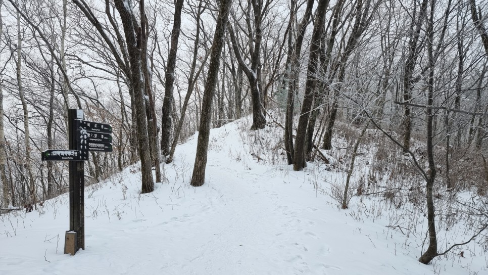 소백산 등산, 화이트 크리스마스 이브 눈꽃 산행 (어의곡~율전 원점회귀)