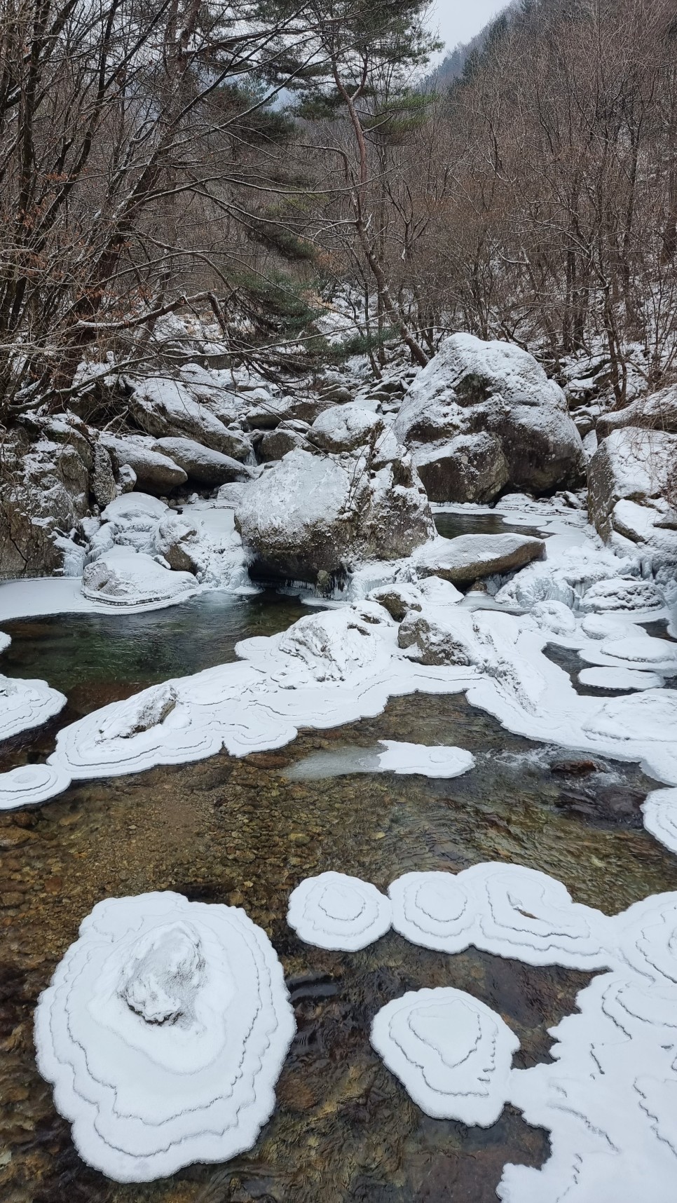 소백산 등산, 화이트 크리스마스 이브 눈꽃 산행 (어의곡~율전 원점회귀)