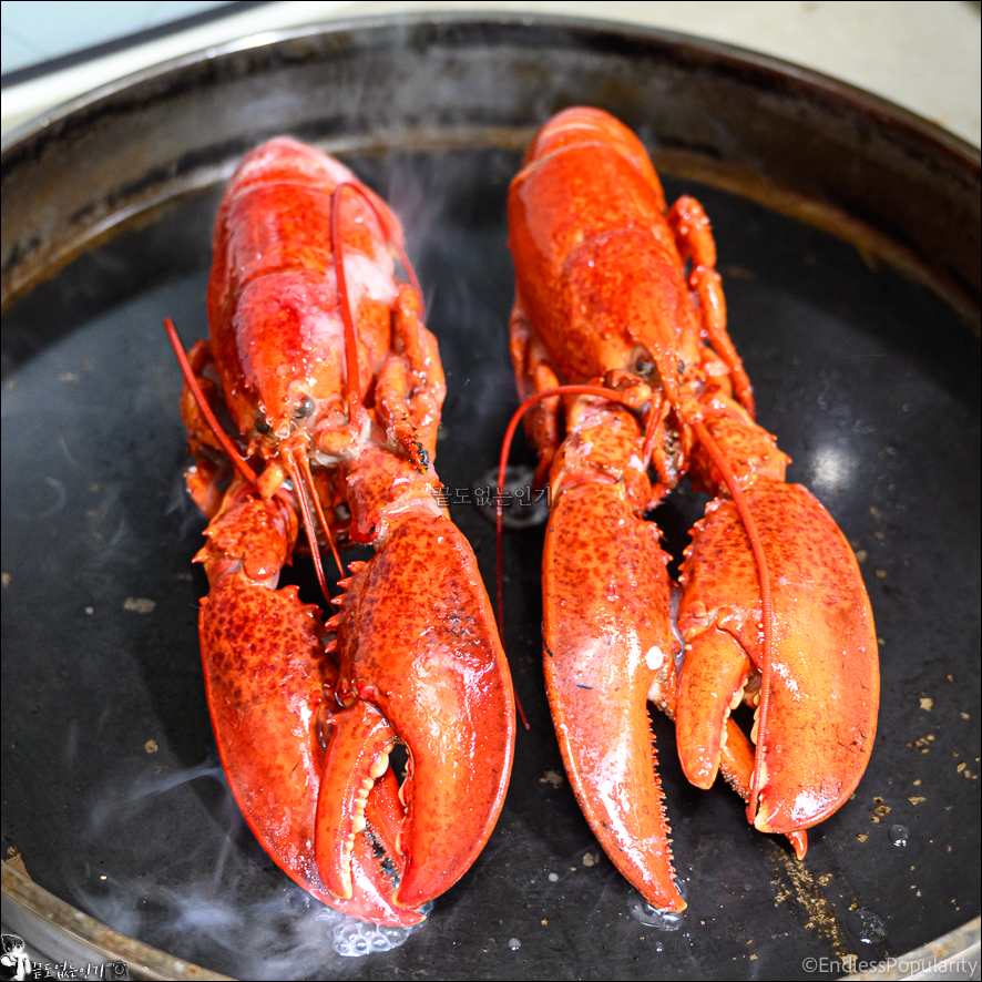 냉동 자숙 랍스터 요리 먹는법 랍스터라면 맛있게 끓이는법