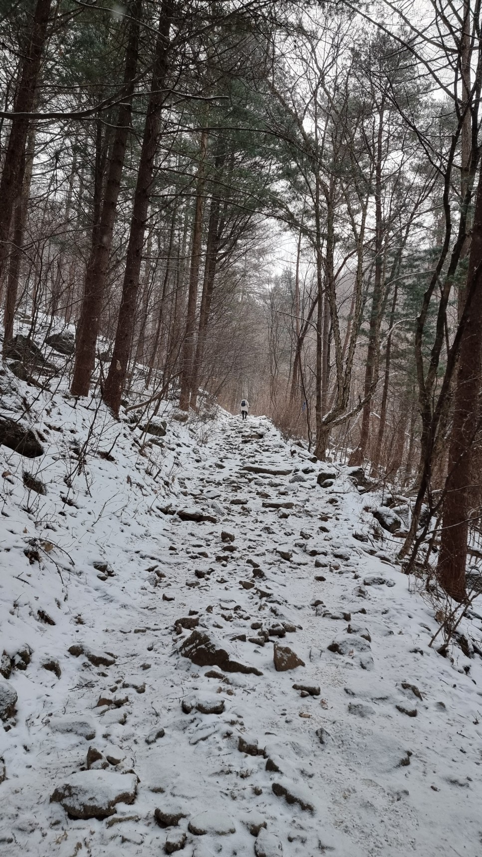 소백산 등산, 화이트 크리스마스 이브 눈꽃 산행 (어의곡~율전 원점회귀)