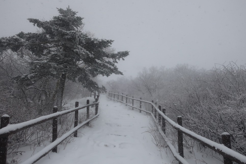 서울에서 대중교통을 이용한 태백산 등산코스 겨울산행