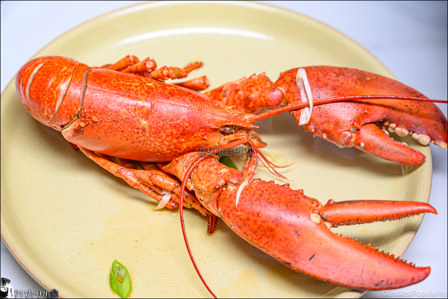 냉동 자숙 랍스터 요리 먹는법 랍스터라면 맛있게 끓이는법