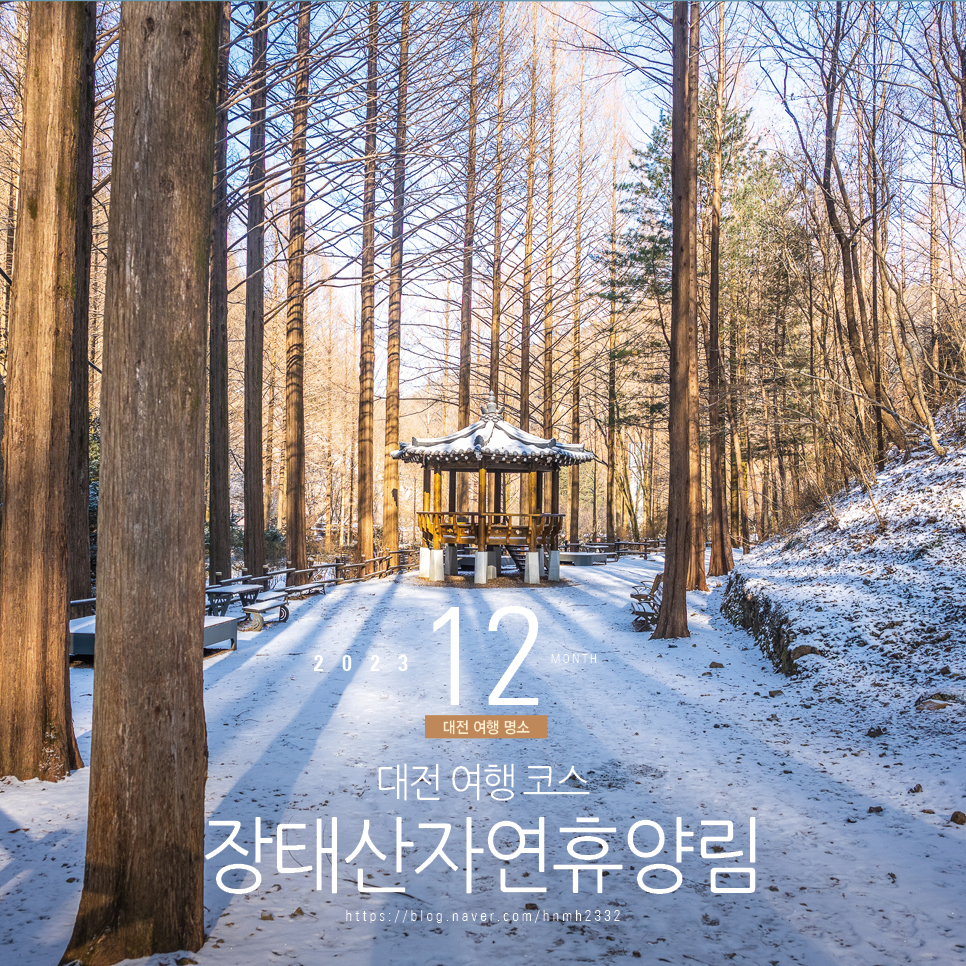 대전 여행 코스 나들이 장태산자연휴양림 대전 명소 볼거리