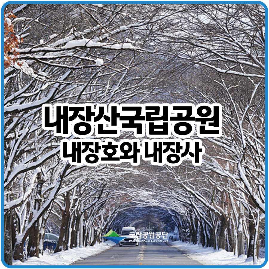 [내장산국립공원] 겨울 탐방로 추천 내장호와 내장사
