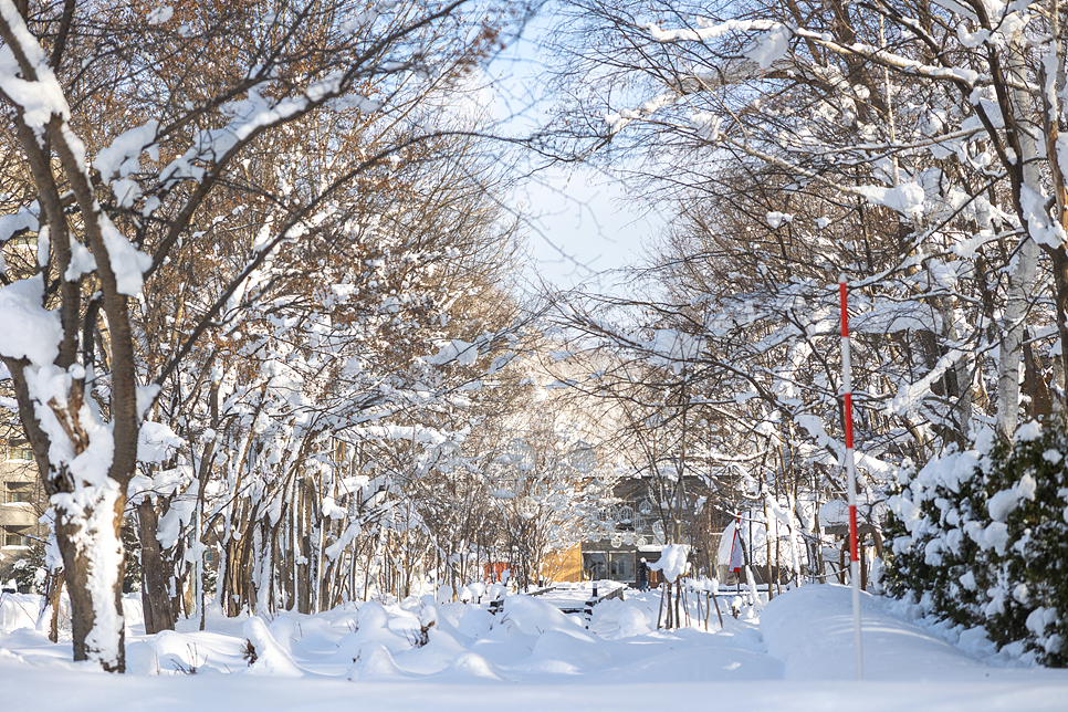 겨울 홋카이도 항공권 삿포로 여행 코스 1월 2월 일정 숙소 료칸 경비