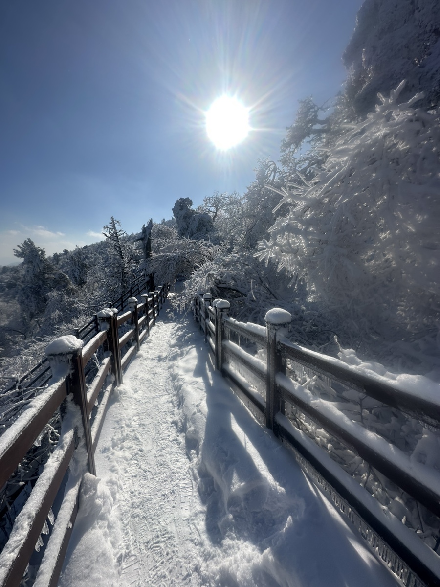 평창 발왕산 케이블카 겨울산행 용평리조트