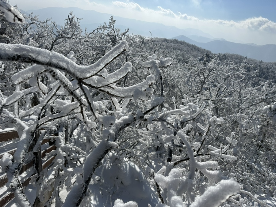 평창 발왕산 케이블카 겨울산행 용평리조트