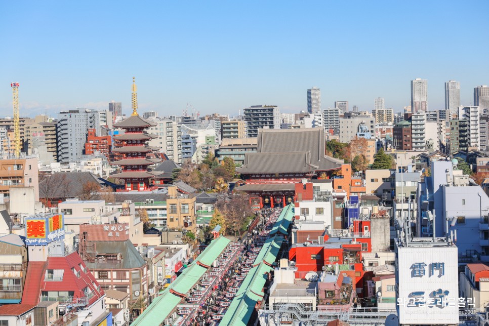 일본 도쿄 여행코스 4박5일 여자 혼자 일정 도쿄 비행기표