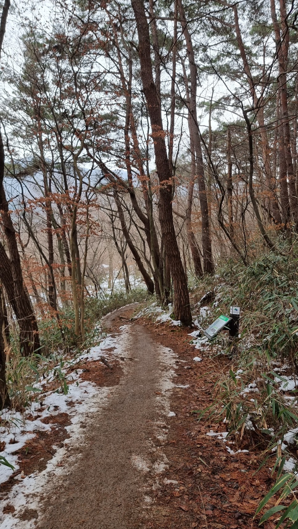 무등산 등산, 겨울 눈꽃 산행 (원효사 원점회귀 코스)