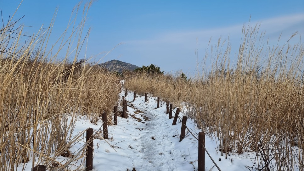 무등산 등산, 겨울 눈꽃 산행 (원효사 원점회귀 코스)