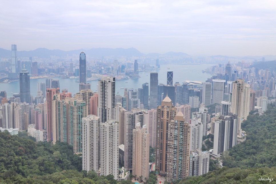 홍콩 피크트램 예약 가격 할인 명당 자리 + 스카이테라스 전망대 홍콩 야경 스팟 여행 꿀팁!