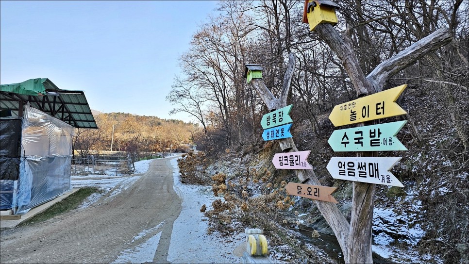 경기도 양평 아이와 가볼만한곳 서울근교 나들이 양평 양떼목장 놀거리 얼음썰매장!