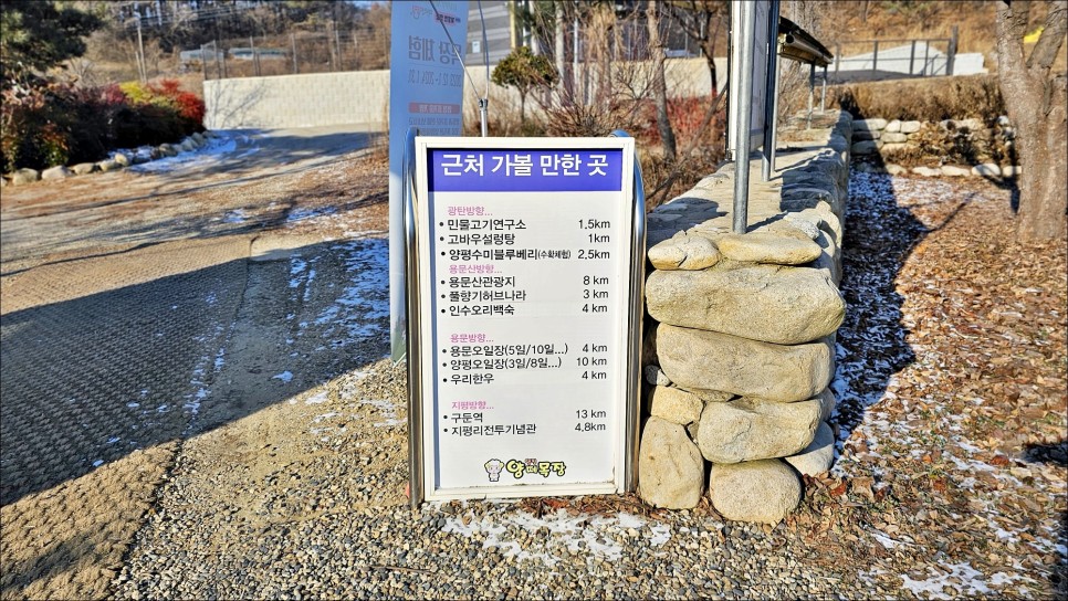 경기도 양평 아이와 가볼만한곳 서울근교 나들이 양평 양떼목장 놀거리 얼음썰매장!