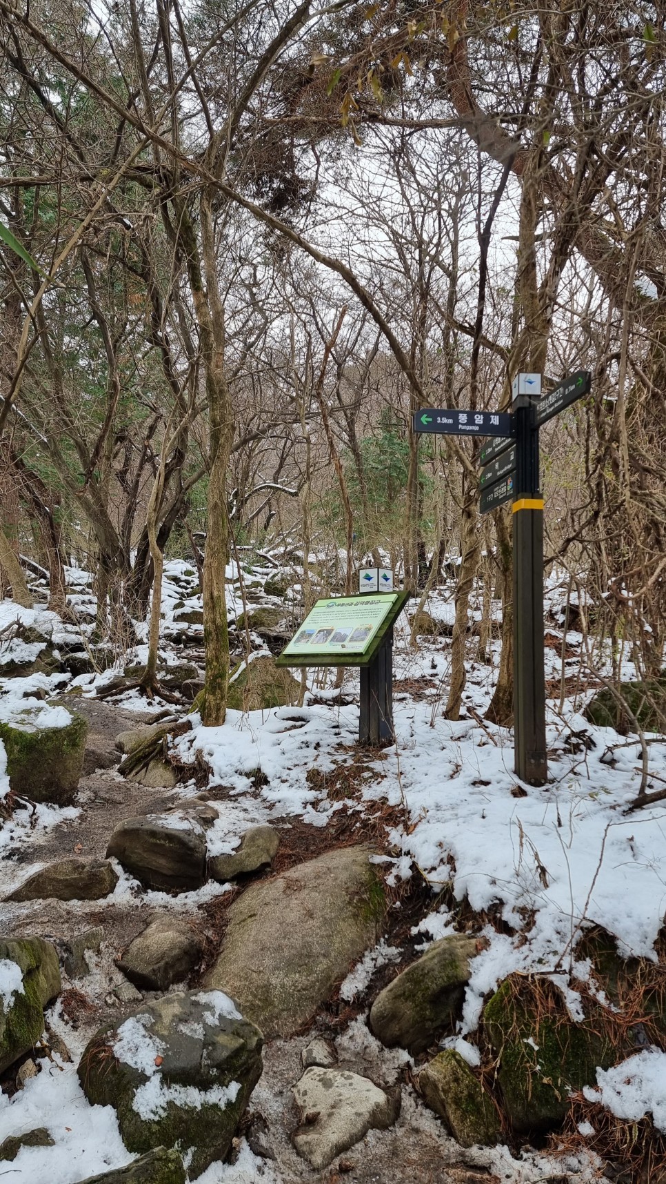 무등산 등산, 겨울 눈꽃 산행 (원효사 원점회귀 코스)