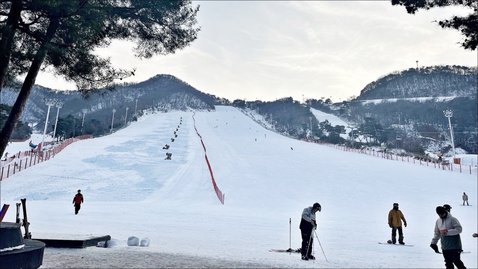 지산리조트 렌탈샵 탑레포츠 패키지 feat 지산스키장