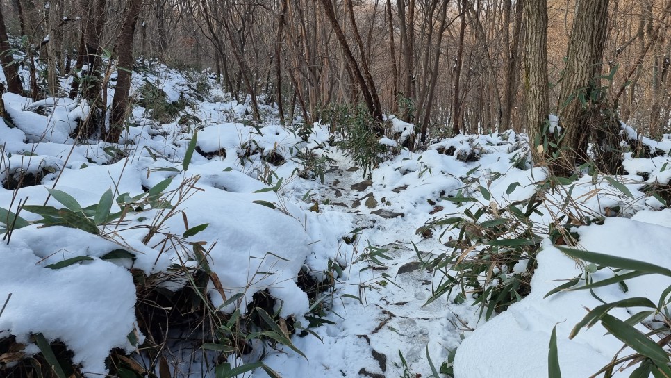 무등산 등산, 겨울 눈꽃 산행 (원효사 원점회귀 코스)