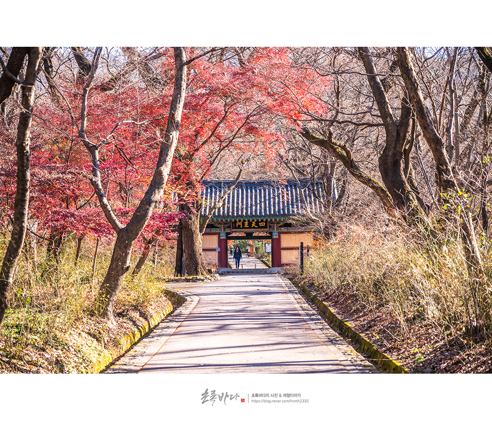 충남 공주 가볼만한곳 겨울 공주 여행 코스