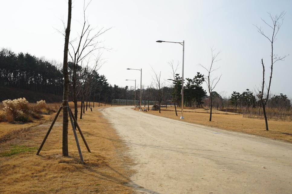 화성 산책하기 좋은 공원, 화성 가볼만한곳 매향리평화생태공원 다녀왔어요!