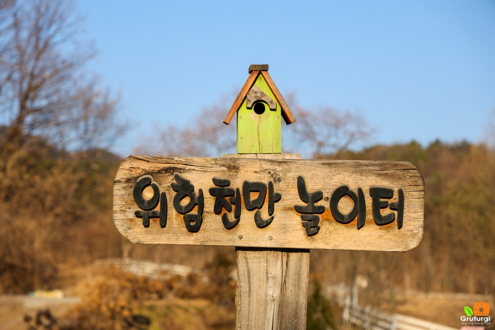 양평 아이와 가볼만한곳 양평 양떼목장 양평 애견동반 카페