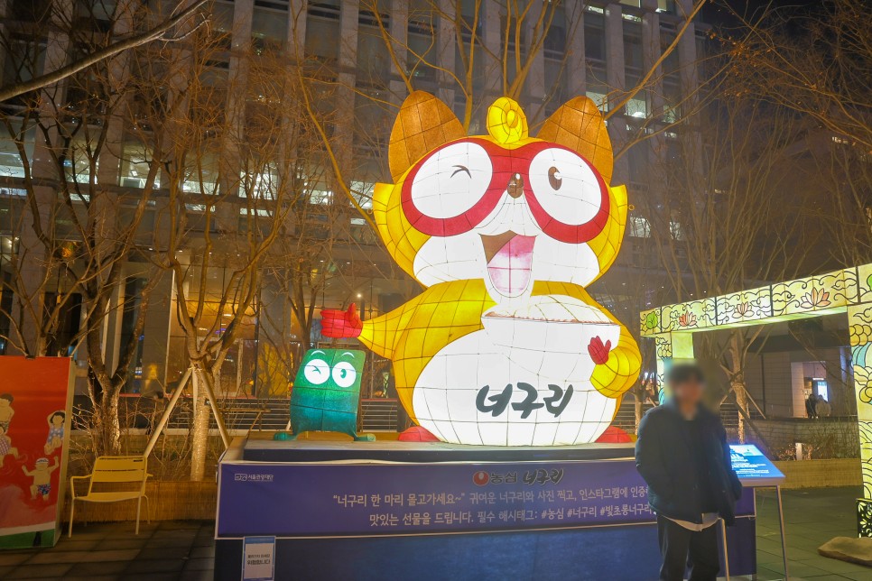 서울 놀거리 서울 빛초롱 축제 겨울 서울축제