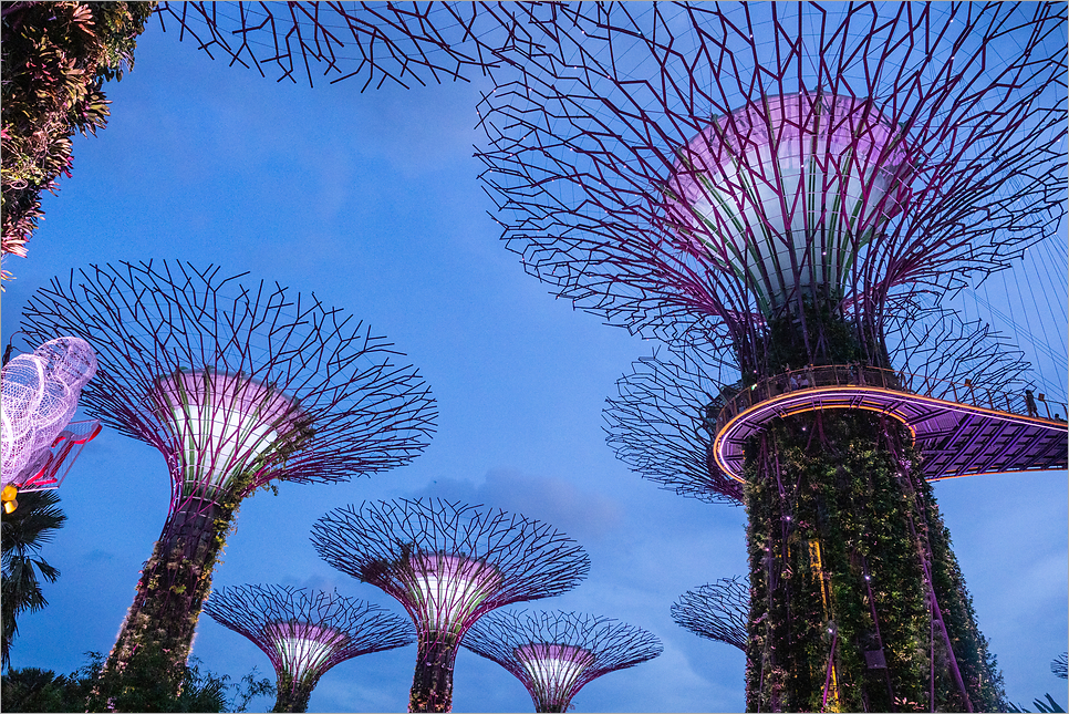 싱가포르 가든스바이더베이 입장권 할인 가는법 싱가포르여행