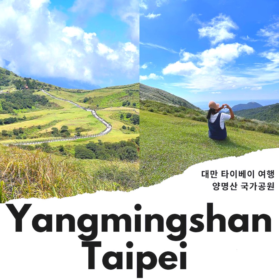 대만 자유여행 타이베이 여행 양명산 택시투어 코스 정리