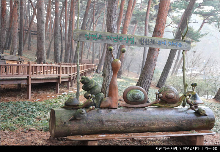 안면도 여행 코스 갈만한곳 꽃지해수욕장 물때 태안 게국지