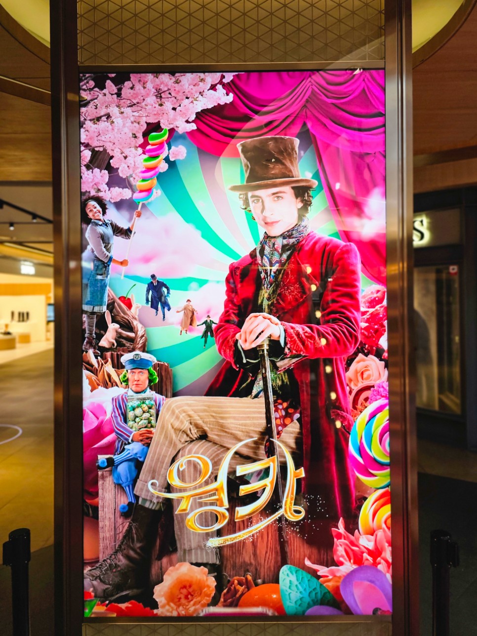 강남 코엑스 데이트 놀거리 가볼만한곳 별마당 도서관과 영화 웡카 팝업 스토어