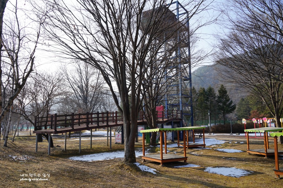 겨울여행 화천 가볼만한곳 원천상회 붕어섬 딴산유원지 산타클로스우체국 사랑나무