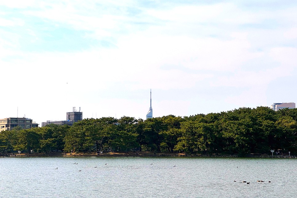 일본 후쿠오카 여행 가볼만한곳 1박2일 볼거리 오호리공원 후쿠오카 타워