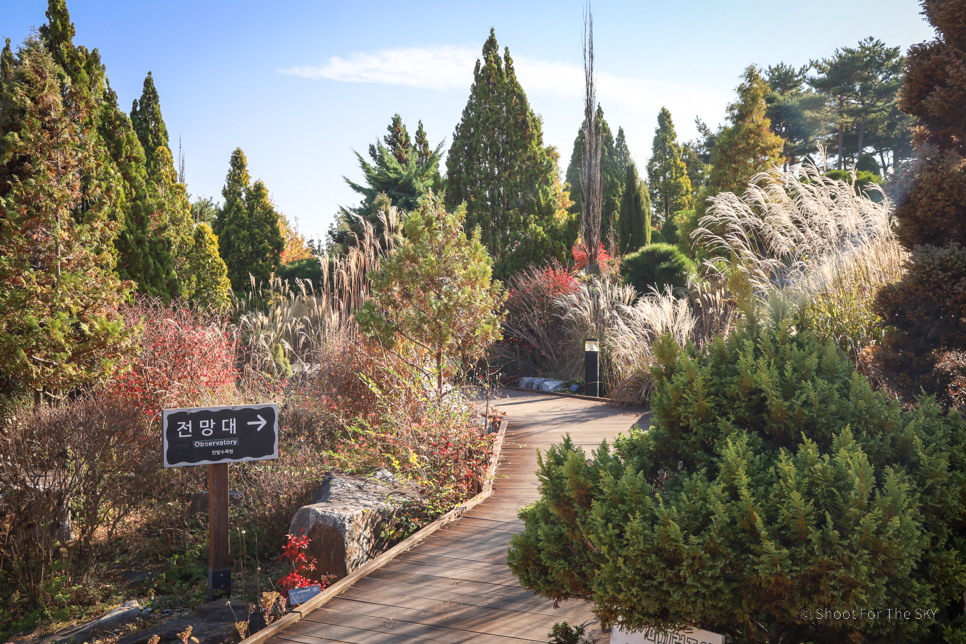 대전 여행 시내 나들이 산책로 명소 한밭수목원 대전 관광지 가을