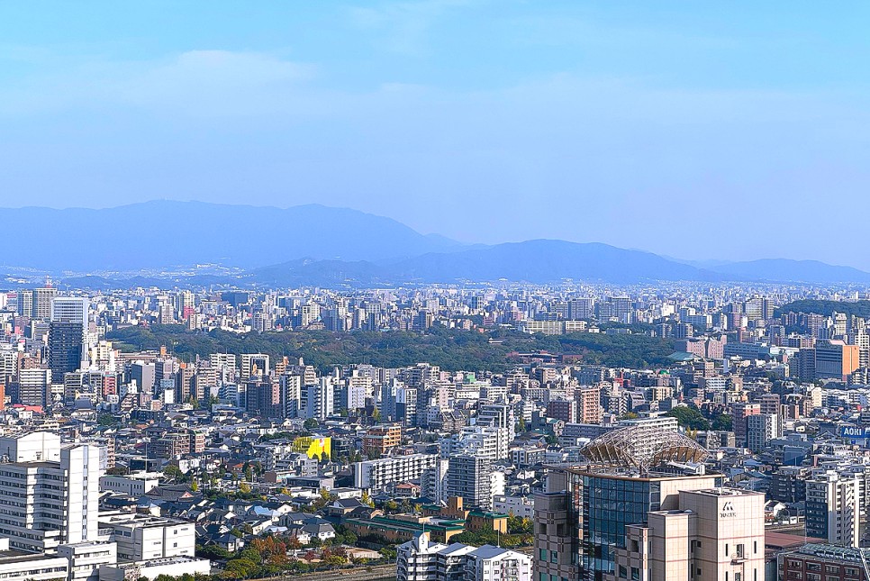 일본 후쿠오카 여행 가볼만한곳 1박2일 볼거리 오호리공원 후쿠오카 타워