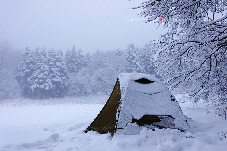 나의 겨울 캠핑 장소 백패킹 성지 선자령 백패킹 모음