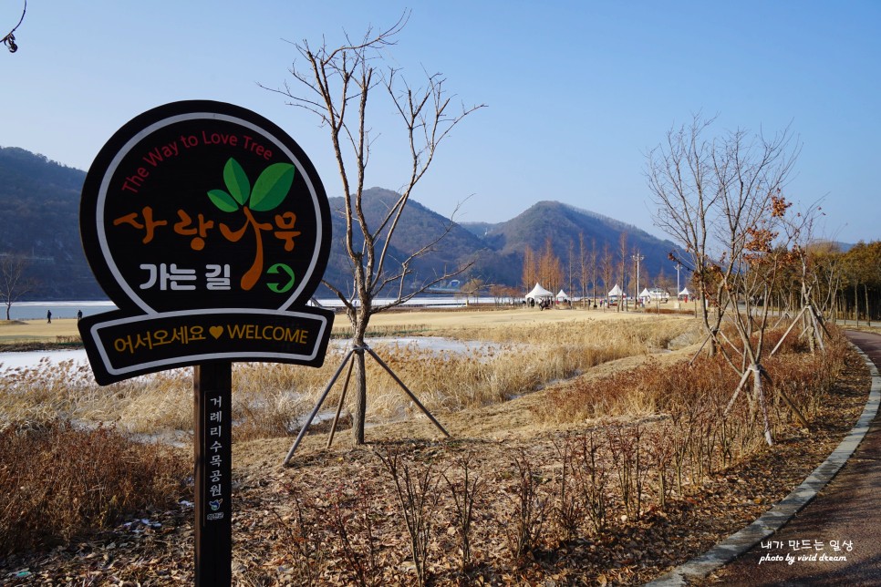 겨울여행 화천 가볼만한곳 원천상회 붕어섬 딴산유원지 산타클로스우체국 사랑나무