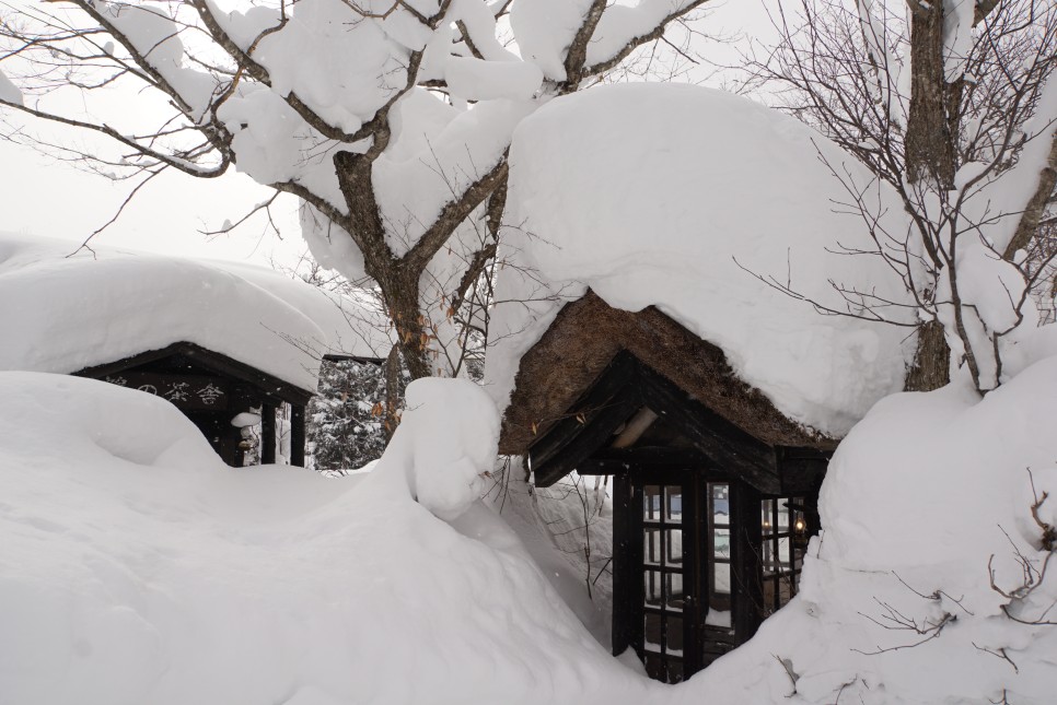 일본 홋카이도 여행 코스 일정 투어 북해도 삿포로 2월 겨울 날씨