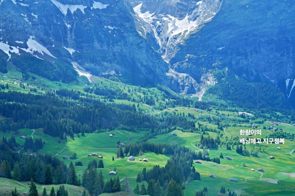 스위스 여행 명소 가장 좋았던곳 루체른 그린델발트 뮤렌