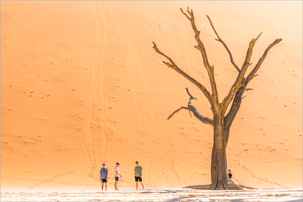 아프리카 여행, 7개국 위대한 여정 사파리 나미브 사막