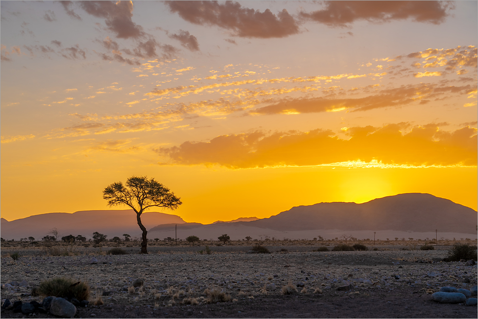 아프리카 여행, 7개국 위대한 여정 사파리 나미브 사막