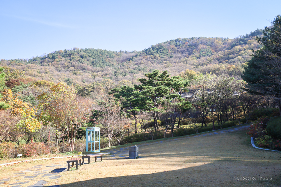 대전 갈만한곳 우암사적공원 고즈넉한 볼거리 애견동반 대전공원