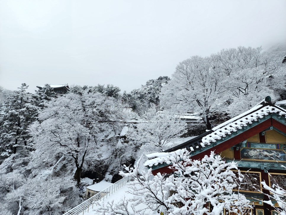 '23년 마지막 송년산행, 도봉산 ('23.12.31)