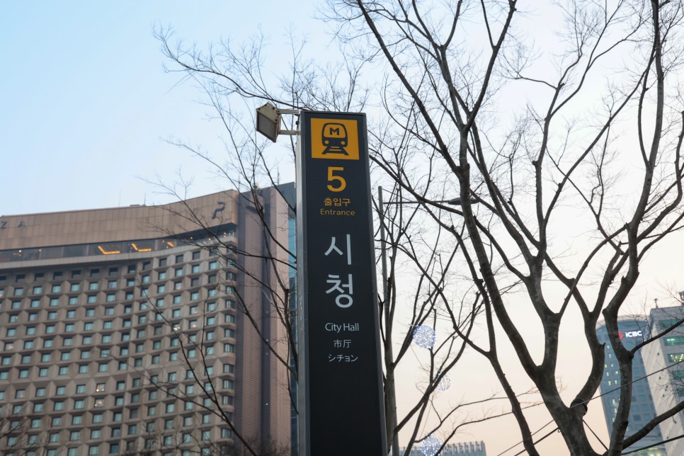 서울광장 스케이트장 풍경 과 예약 방법 겨울 서울 갈만한곳