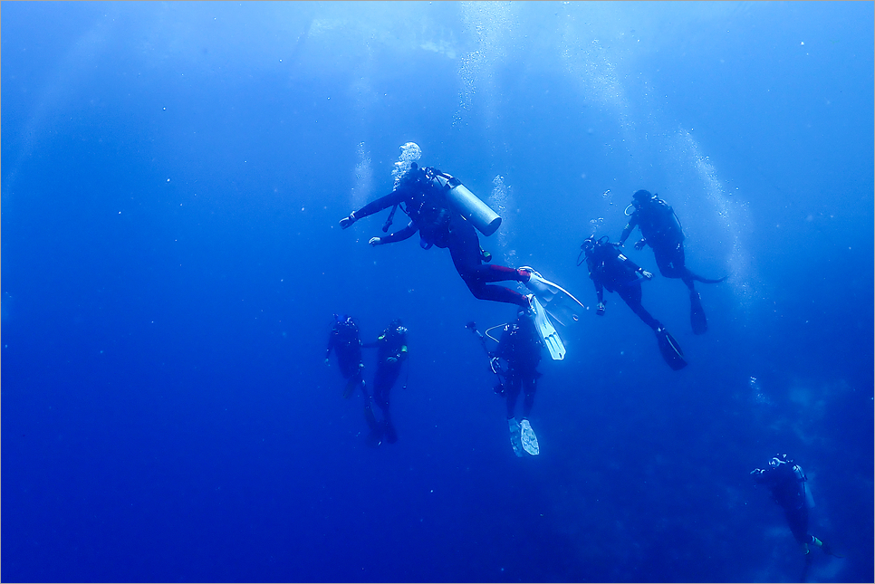 세부 막탄 스쿠버다이빙, 다시 가고 싶은 체험 다이빙