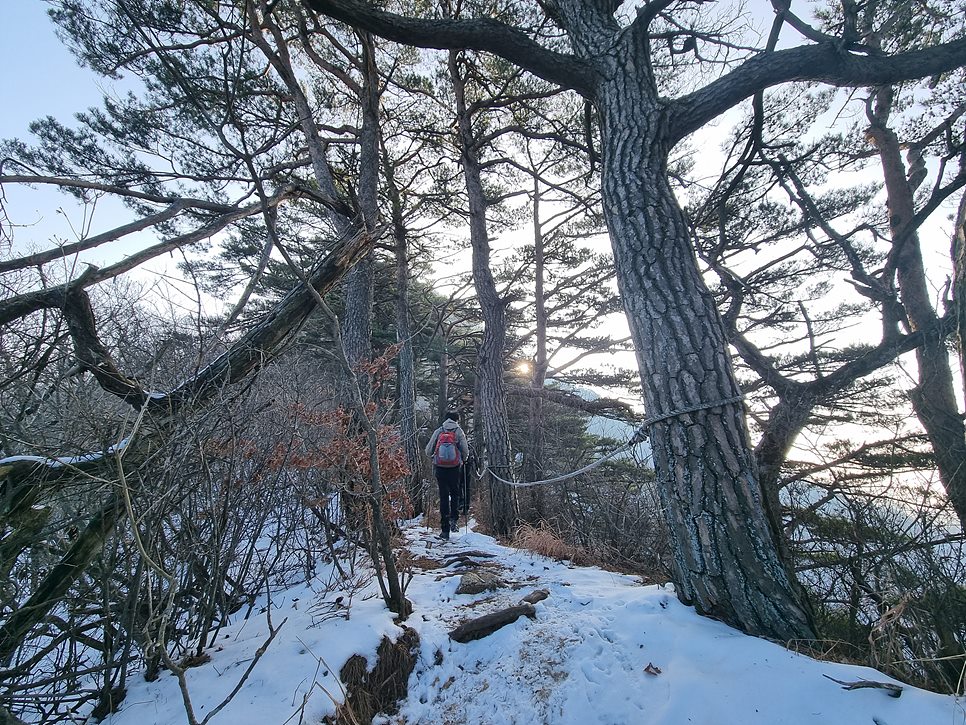 [월악산국립공원] 월악산, 은은한 운해와 명품송이 어우러진 겨울 비경을 즐기다 (12월 최종)