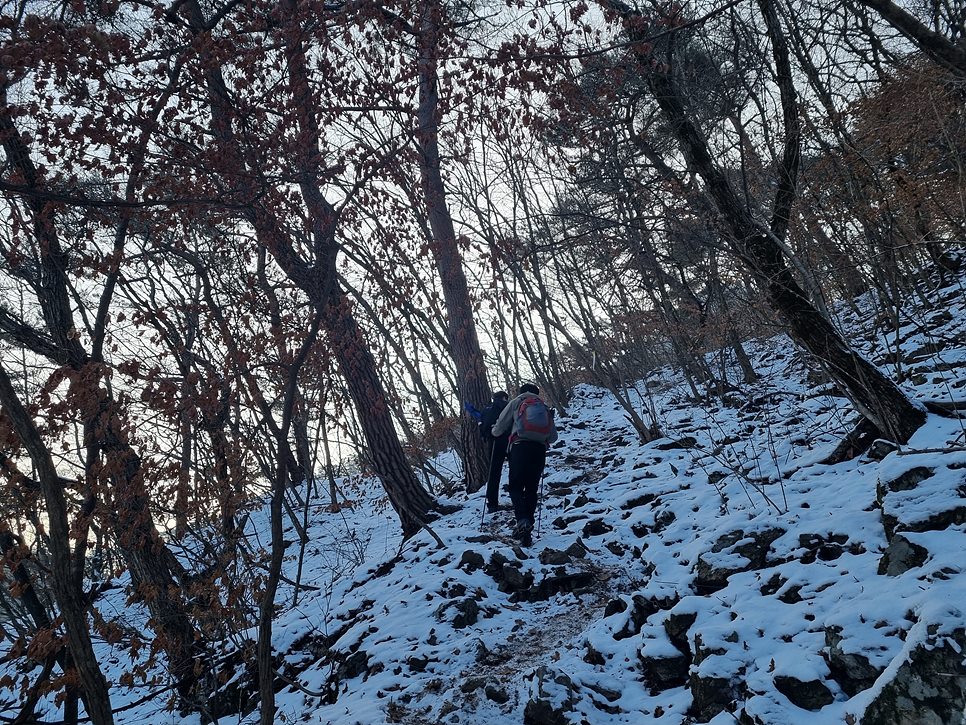 [월악산국립공원] 월악산, 은은한 운해와 명품송이 어우러진 겨울 비경을 즐기다 (12월 최종)